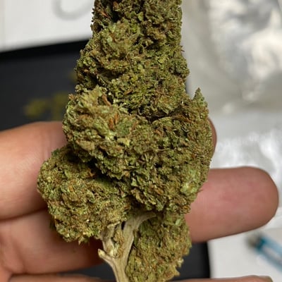 BossKenabid 420 product image