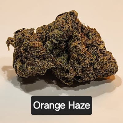 Orange Haze