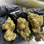 Weedme Cannabis Delivery