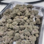 Broccoli Cannabis Farm