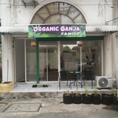 Organic Ganja Family