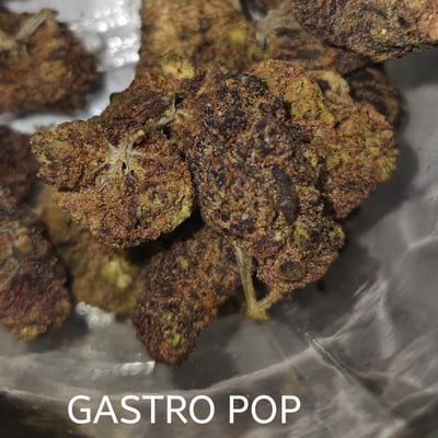 Gastro Pop