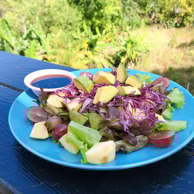 Mountain High Restaurant, Resort & Cannabis product image