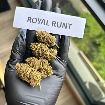 Royal Runt