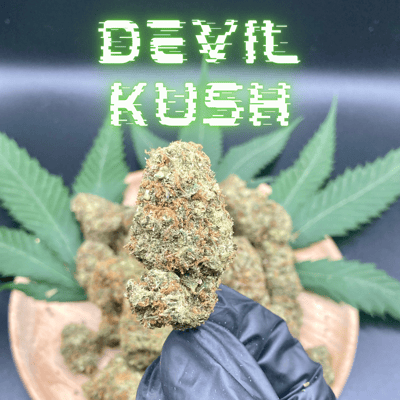 Devil Kush