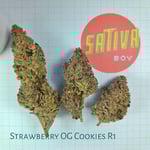 Strawberry OG Cookies R1