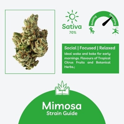 MIMOSA