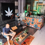 THE JUNGLE JOINT Cannabis CAFE