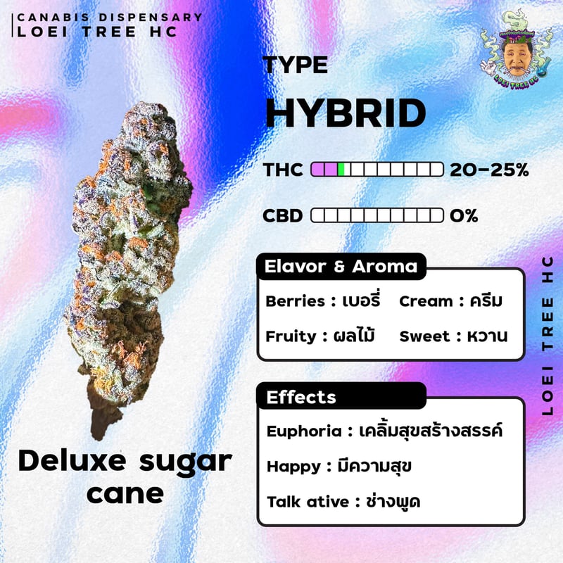 Deluxe sugar cane Cannabis Flower at LOEI THC 3 in Loei Weed in Thailand