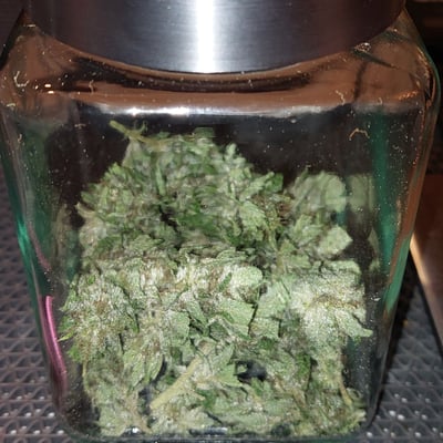 Green Circle product image