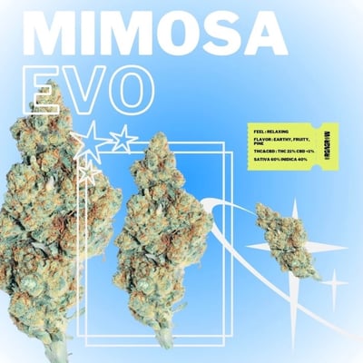 Mimosa Evo