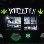 WHITE LILY weed shop and cannabis dispensary aonang cannabis shop delivery