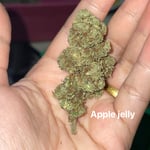Apple Jelly 