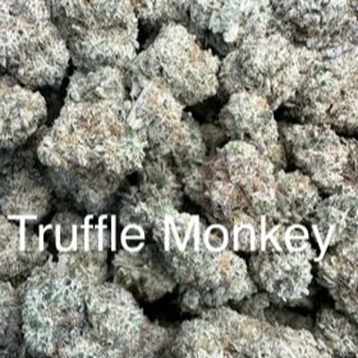 Truffle Monkey