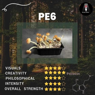 Mushroom PE6