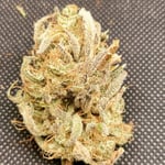 DragoN CannabiS