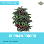 DURBAN POISON