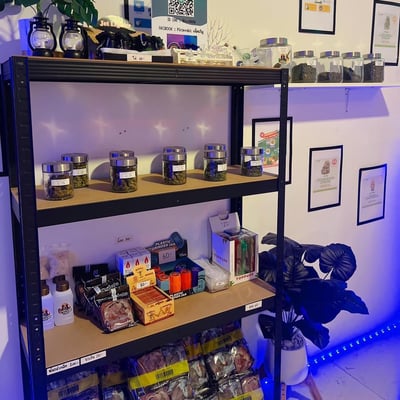 PGcannabiz เพื่อนกัญ ร้านกัญชาพิษณุโลก ร้านกัญชาใกล้ฉัน product image