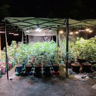 GunjaOutdoorChiangmai product image