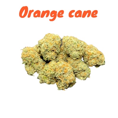 Orange cane