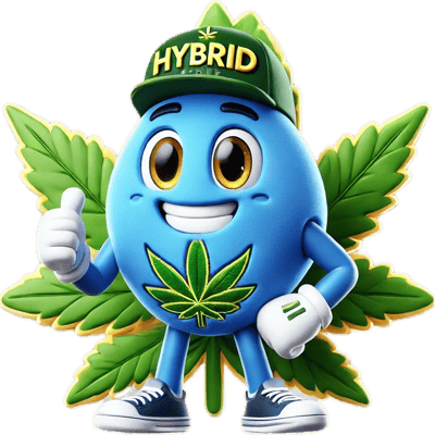 Hybrid Store สาขาอุบลราชธานี ทุ่งศรีเมืองข้างอุบลพล่าซ่า