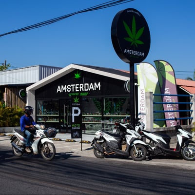 Amsterdam Coffee Shop | Weed Store | Cannabis Dispensary product image