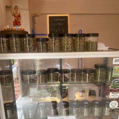 ร้านกัญชาอีสเนอุซ หน้าม.พะเยา Isnatious Cannabis product image