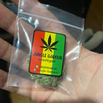 Jungle Garden Cannabis Dispensary