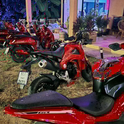 High Society Ko Phangan product image