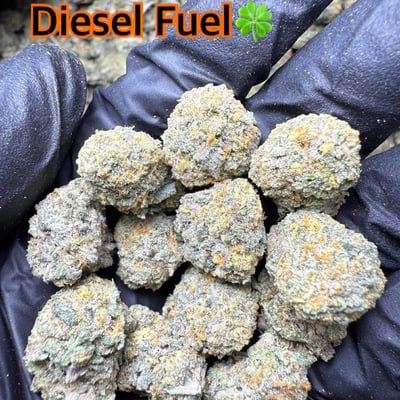 plaza cannabis station 2 product image