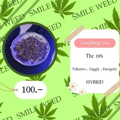 ร้านกัญชาใกล้ฉัน (smileweed) Cannabis shop product image