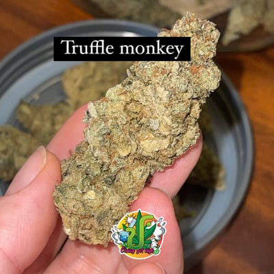 Truffle monkey 🙊 