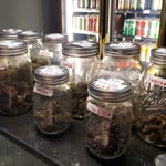 HQC-high quality cannabis - Soi Buakhao (weed shop)