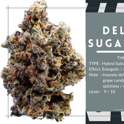 Deluxe Sugarcane 