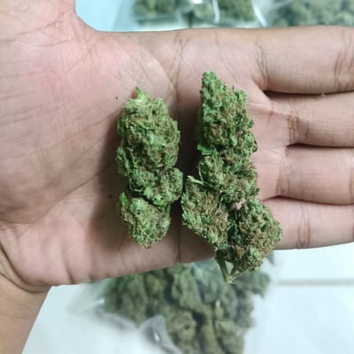 สหายกัญ Cannabis Shop product image