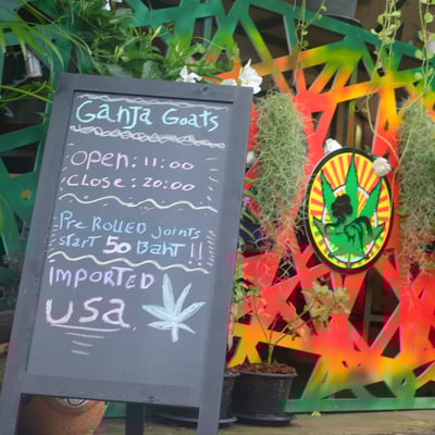 Ganja Goats - Buriram - Cannabis and Kratom product image
