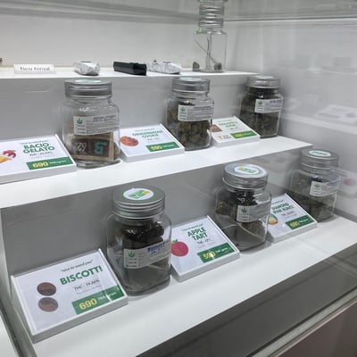 ร้านขายกัญชา Nice to weed you / ไนซ์ทูวี๊ดยู ( 大麻 / 大麻店 / Dispensary / Ganja / Cannabis) product image