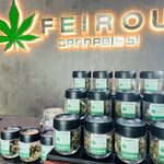 Cannabis hua hin FEIROU 51