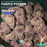 Purple Poison