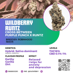 Wild berry Runtz (Robinhood seeds)