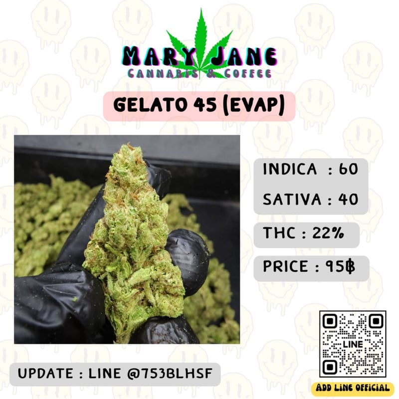 elfbar elfa master akku Marry Jane - Vape pen in three variations at a great price main image 1