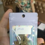 Cannabis Shop (Green Elephant 420)