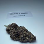 Bapple Fritz 1 