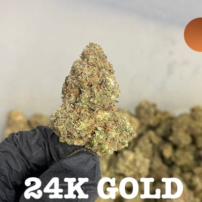 24K Gold Regular Cannabis Seeds  Mary Jane39s Garden