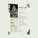 Lemon pie 