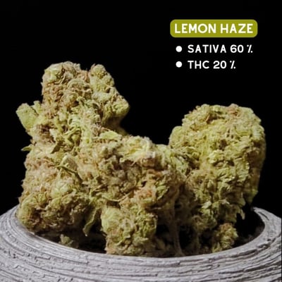 SP22(Lemon Haze)