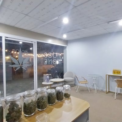 ร้านกัญชา mood&tone dispensary cannabis shop 大麻店 大麻ショップ × Sativa product image