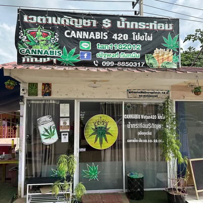 ร้านกัญชาใกล้ฉัน WetanCannabis product image