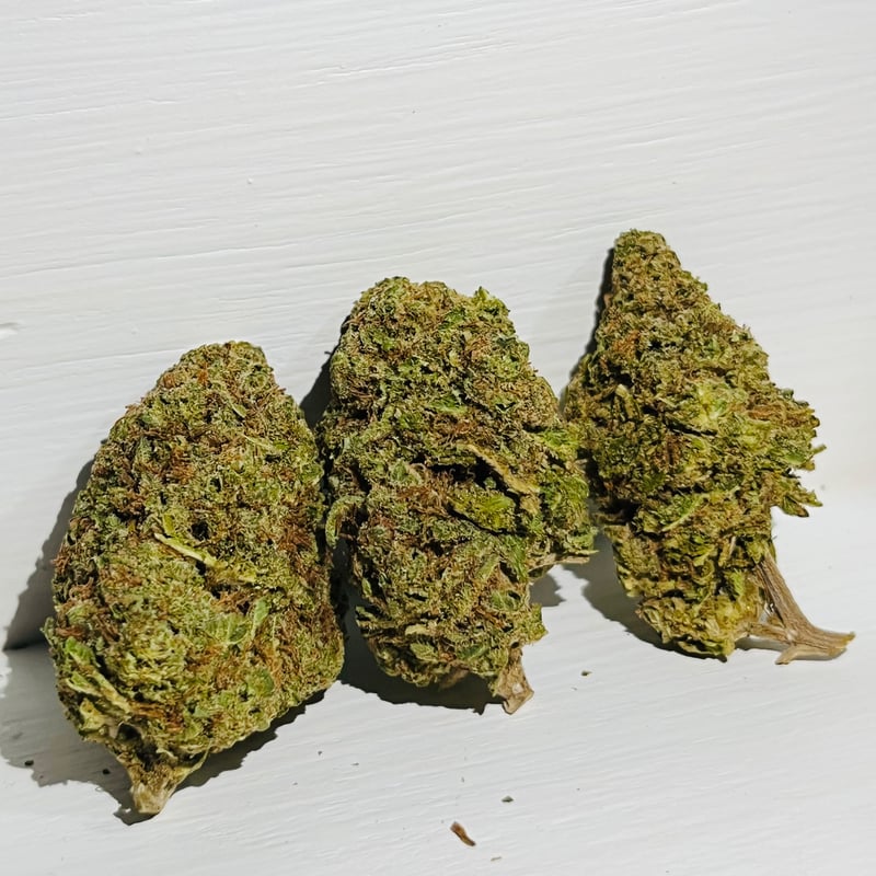 Jack herer Cannabis Flower at JACK HERER SHOP in Kamphaeng Phet