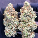 Herbalist Cannabis Store
